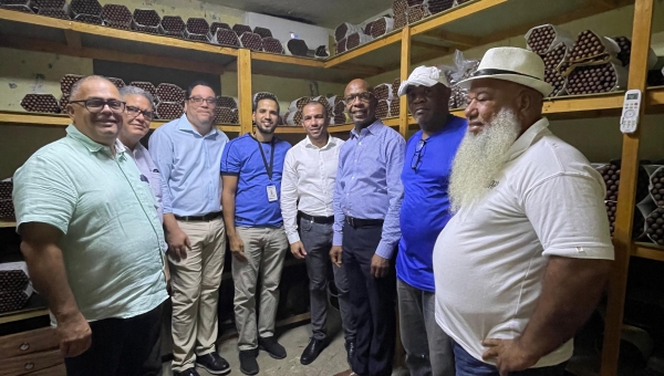 Tabacalera Tamboril Thumbnail